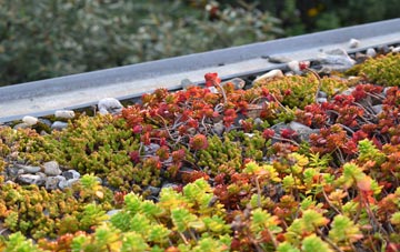 the cost of Hamstall Ridware green roof installation