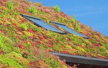 Hamstall Ridware living roof systems