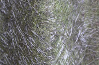 Hamstall Ridware fibreglass roof work